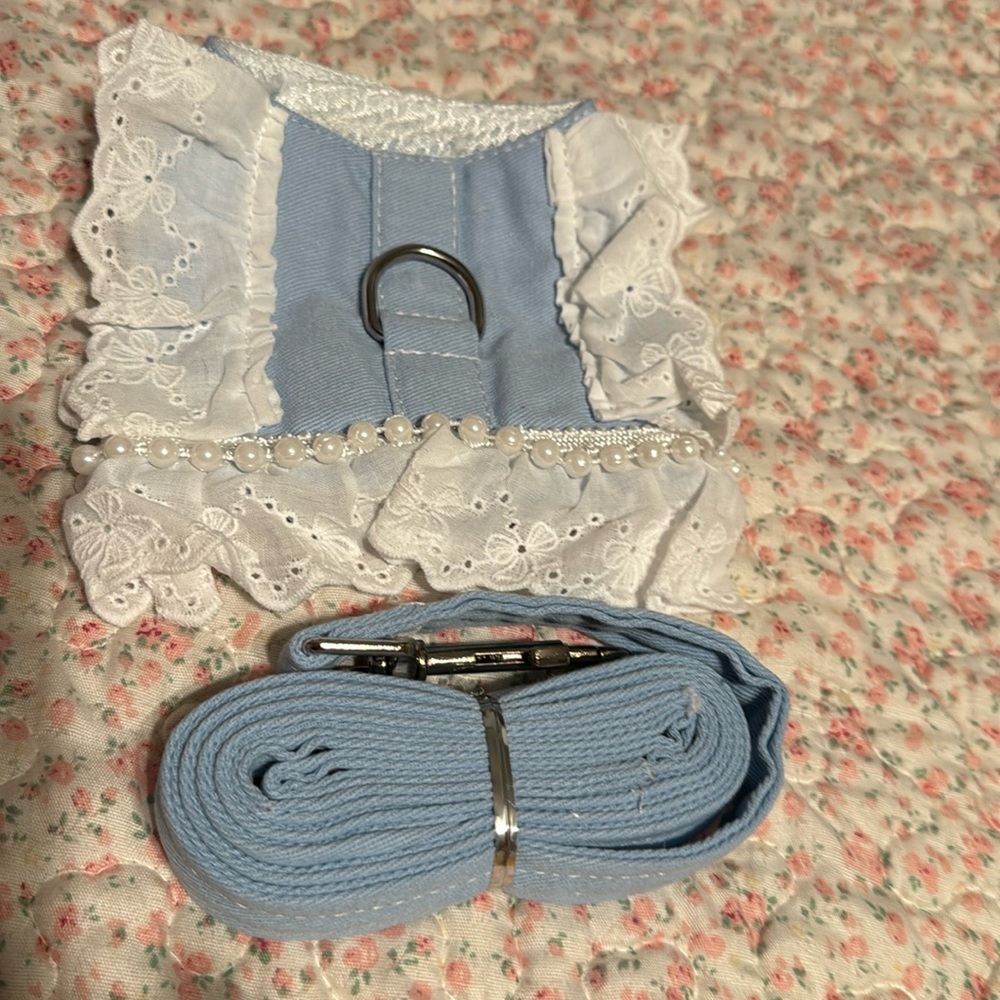Harness and leash
